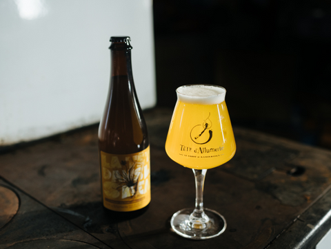 verre bière de la microbrasserie Tête d'Allumette à Kamouraska - sirop-d'érable