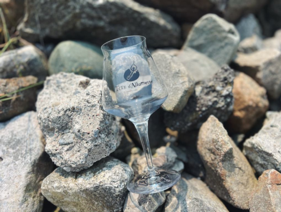 Verre Teku / Logo Tête d'Allumette