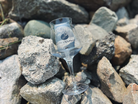 Verre Teku / Logo Tête d'Allumette